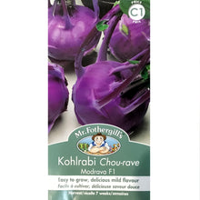 Load image into Gallery viewer, Kohlrabi - Modrava Seeds, FG
