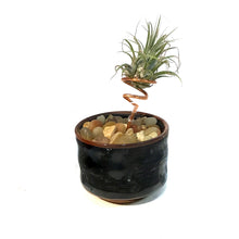 Load image into Gallery viewer, Tillandsia Ionantha, Japanese Sake Cup
