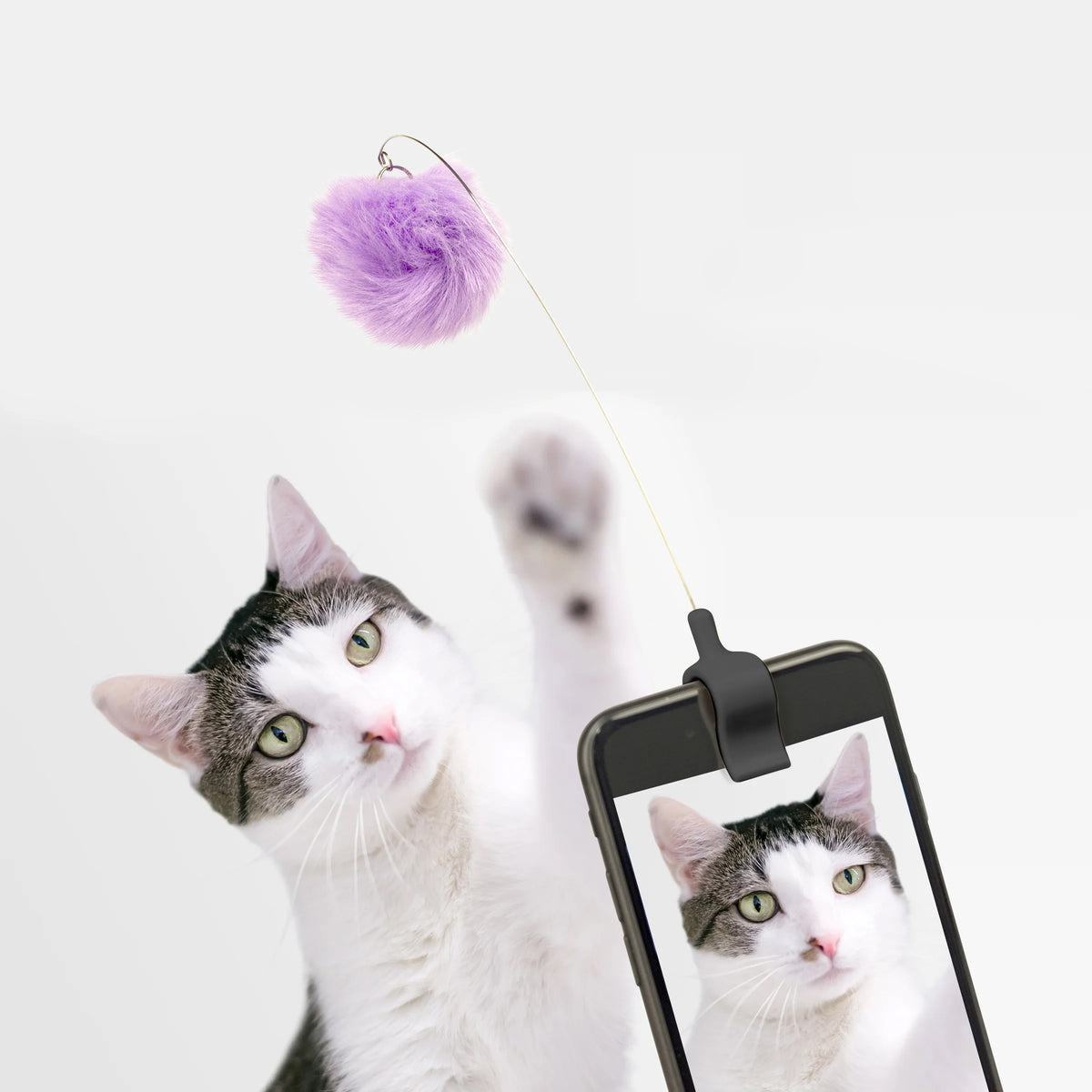Phone Clipp Cat Toy