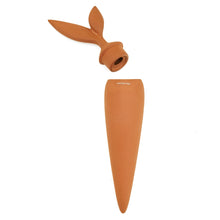 Load image into Gallery viewer, Terracotta Watering Stake
