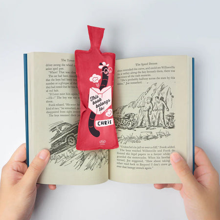 Bookmark, Bookie Cushion