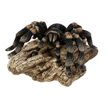 Load image into Gallery viewer, Decor Tarantula
