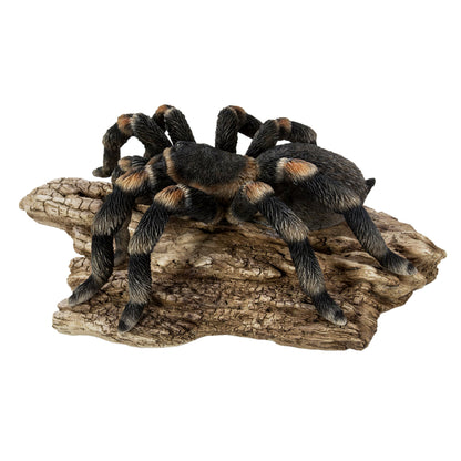 Decor Tarantula