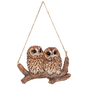 Baby Owla On a Branch
