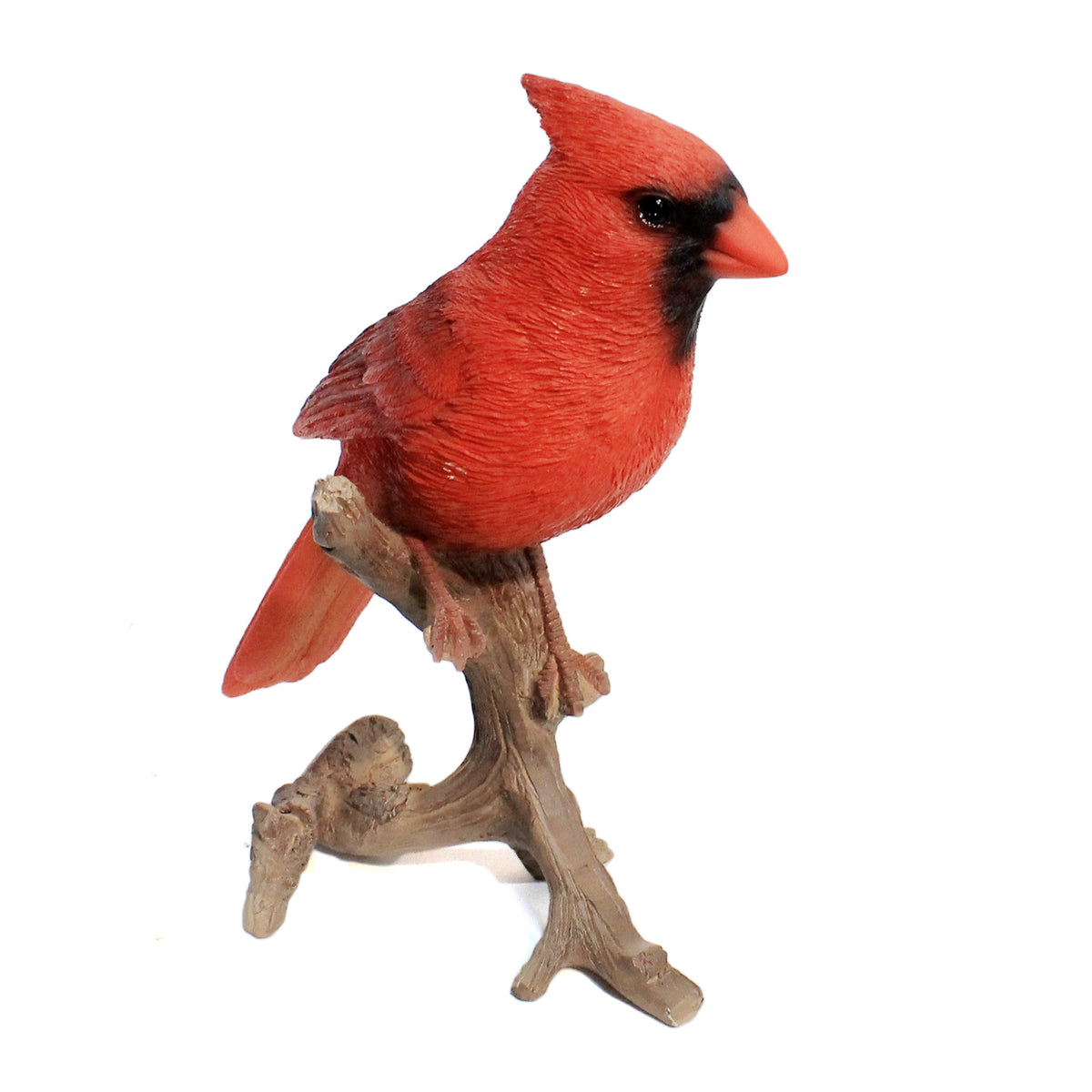 Cardinal On Branch