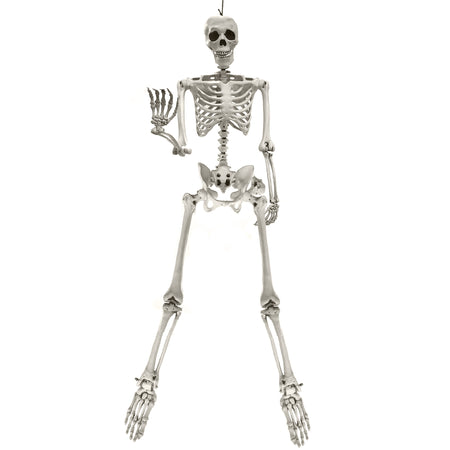Decor, Poseable Skeleton, 5 Ft