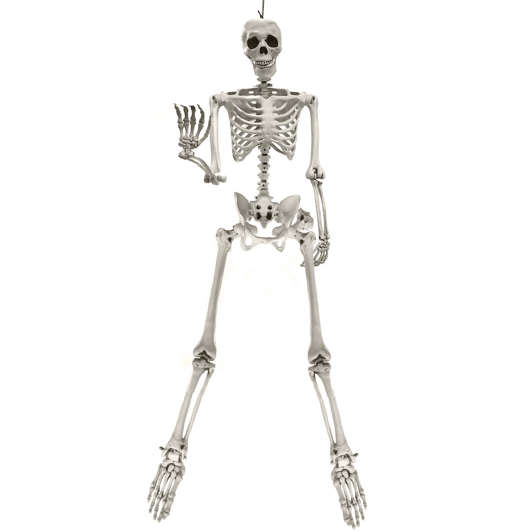 Decor, Poseable Skeleton, 5 Ft