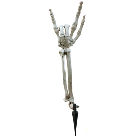 Decor, Poseable Skeleton Arm Stake