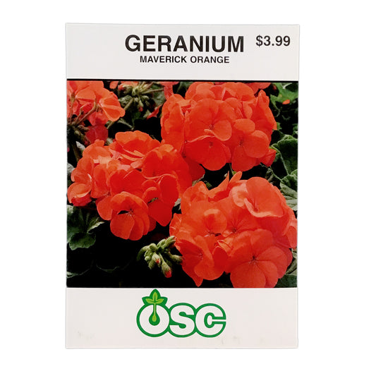 Geranium - Maverick Orange Seeds, OSC