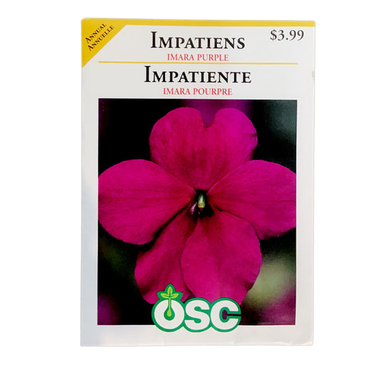 Impatiens - Imara Purple Seeds, OSC