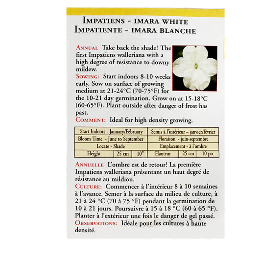 Impatiens - Imara White Seeds, OSC