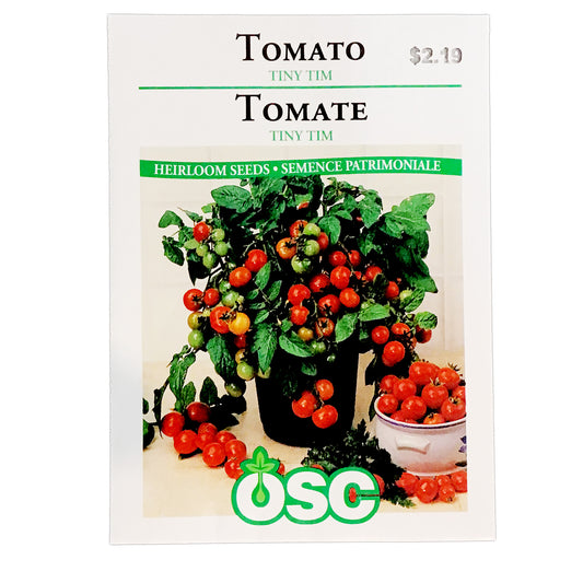 Tomato - Tiny Tim Seeds, OSC