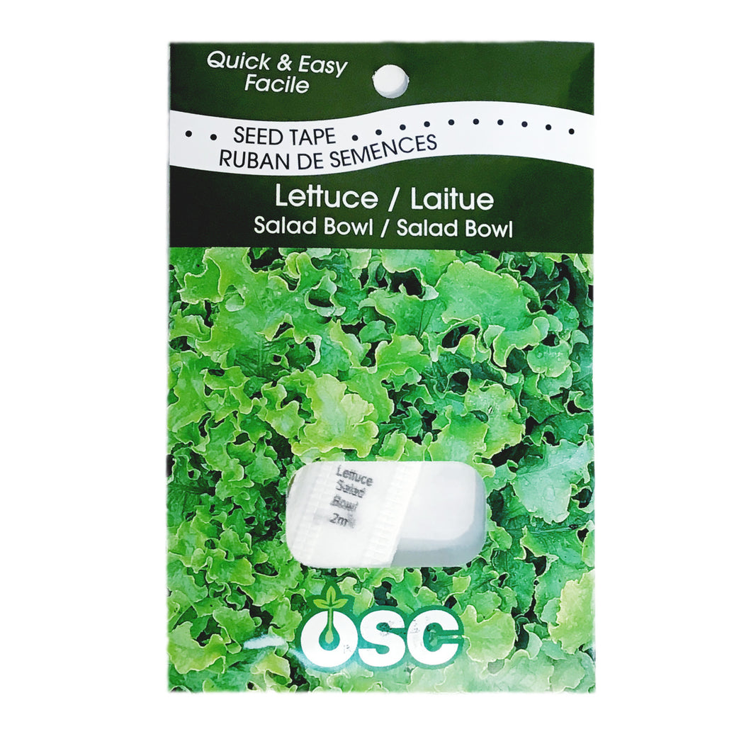 Lettuce - Salad Bowl Seed Tape, OSC