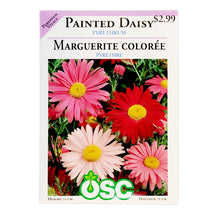 Load image into Gallery viewer, Pyrethrum Painted Daisy Seeds, OSC

