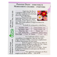 Load image into Gallery viewer, Pyrethrum Painted Daisy Seeds, OSC

