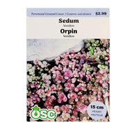 Sedum, Voodoo Seeds, OSC