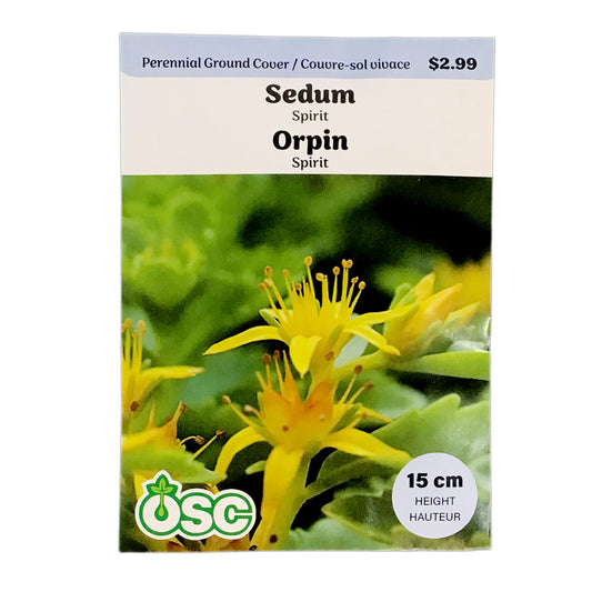 Sedum, Spirit Seeds, OSC