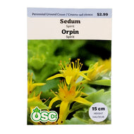 Sedum, Spirit Seeds, OSC