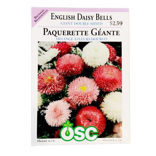 Engish Daisy Mix, Giant Double Mixed Seeds, OSC