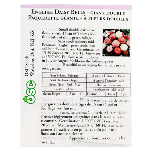 Engish Daisy Mix, Giant Double Mixed Seeds, OSC