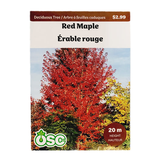 Red Maple Seeds, OSC