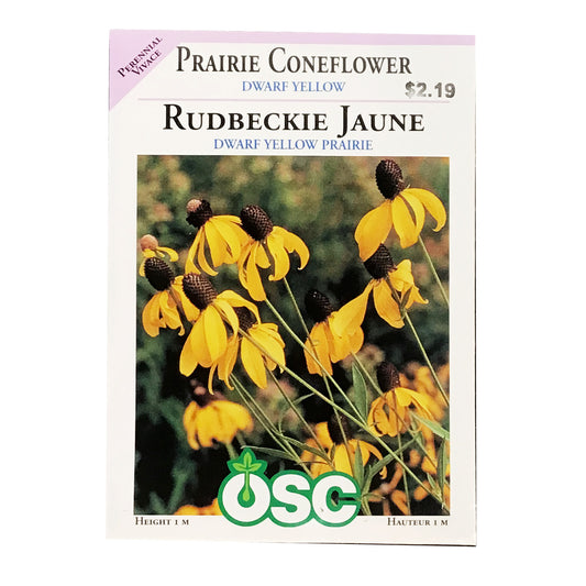 Prairie Coneflower, Dwarf Yellow Seeds, OSC