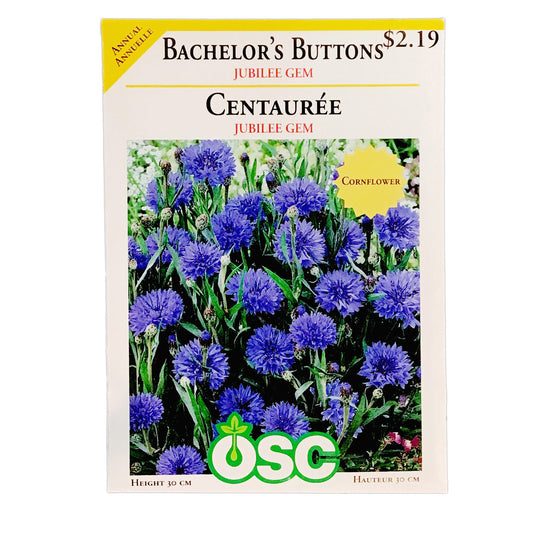 Bachelors Buttons, Jubilee Gem Seeds, OSC