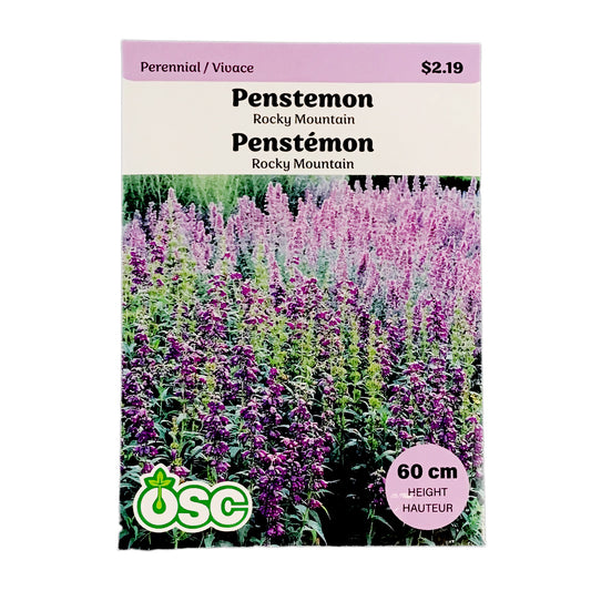 Penstemon Rocky Mountain Seeds, OSC