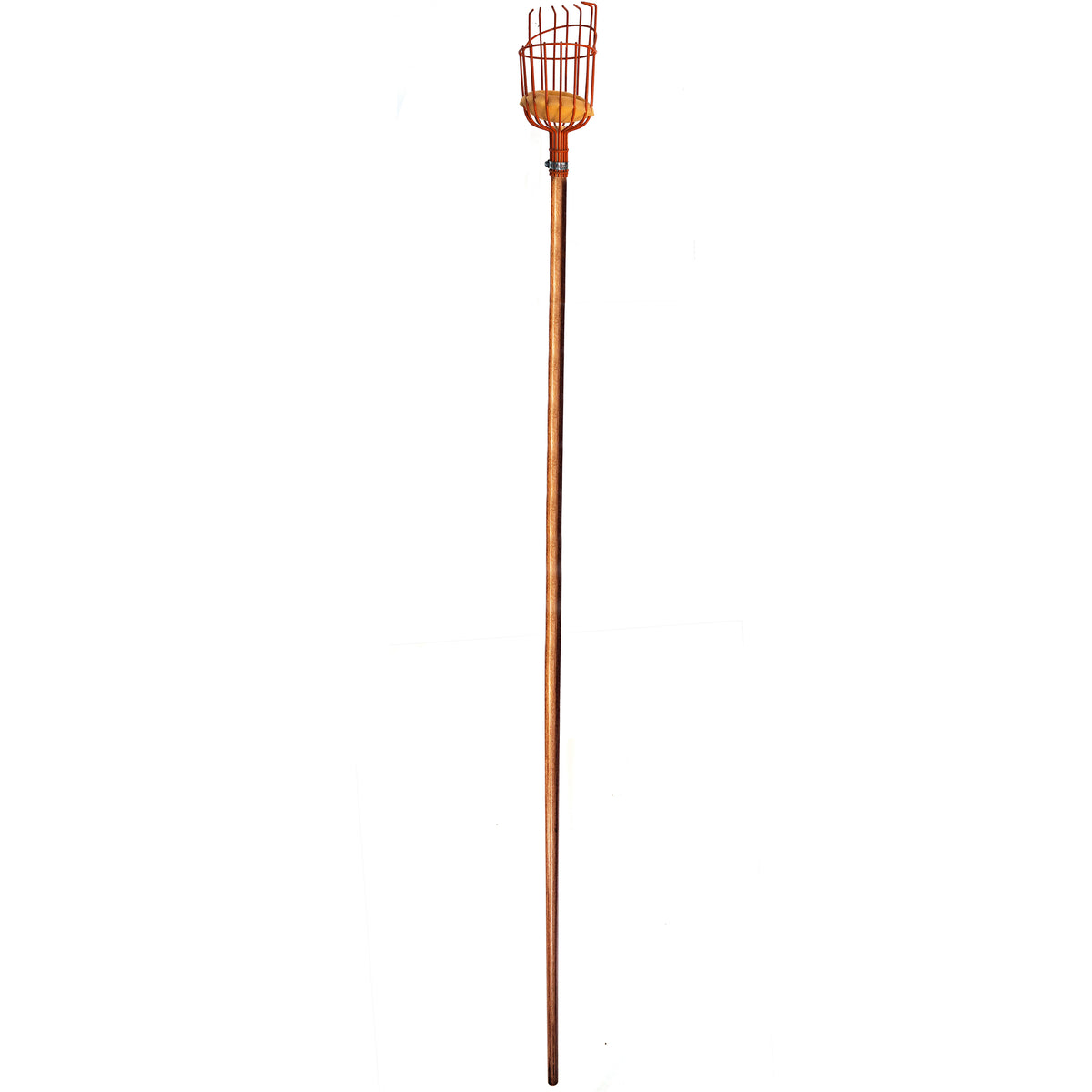 Telescopic Fruit Picker/ Harvester