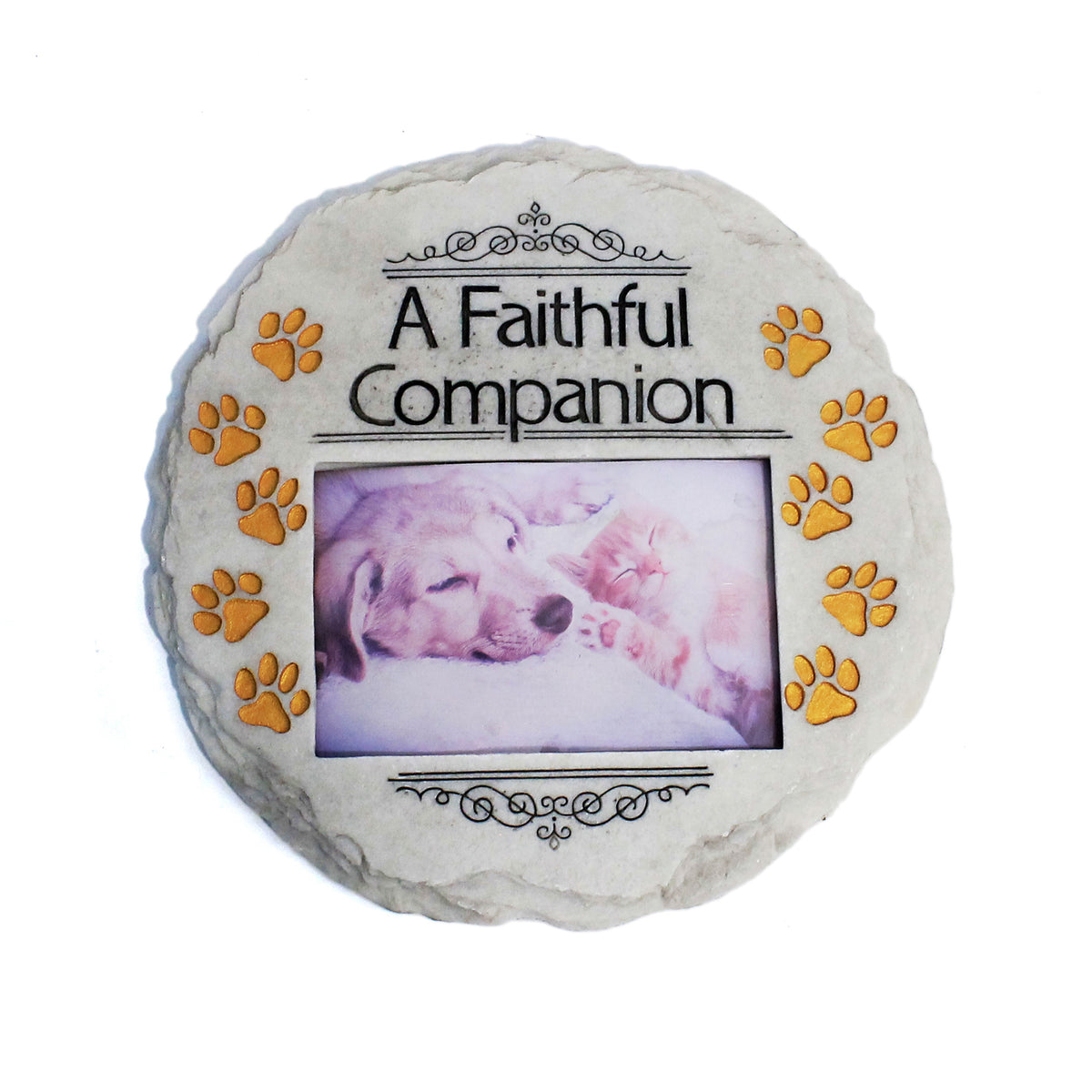 Faithful Companion... Stepping Stone