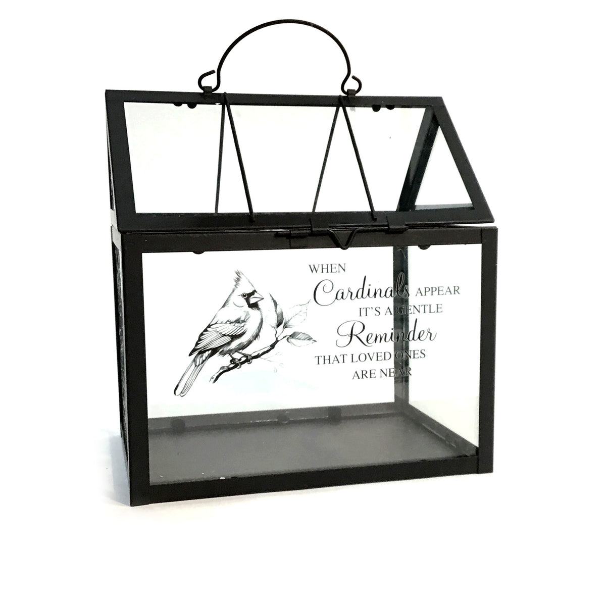 Terrarium, Cardinal Appears