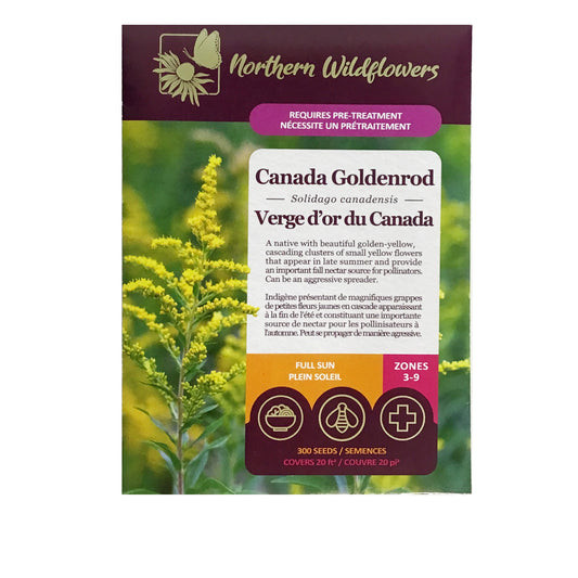 Canada Goldenrod Seeds, NW