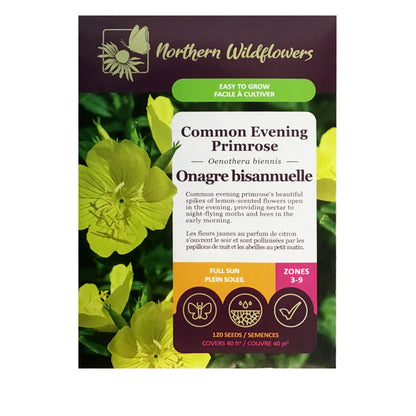 Common Evening Primrose Seeds, NW