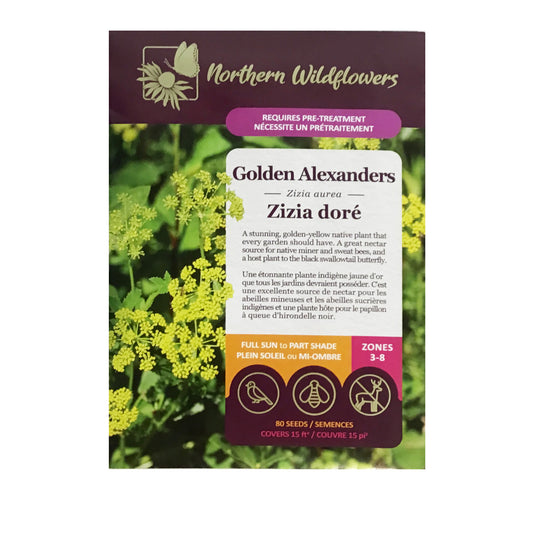 Golden Alexanders Seeds, NW