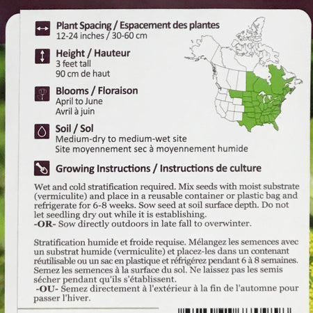 Golden Alexanders Seeds, NW