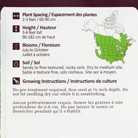 Little Bluestem Seeds, NW