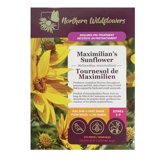 Maximilians Sunflower Seeds, NW