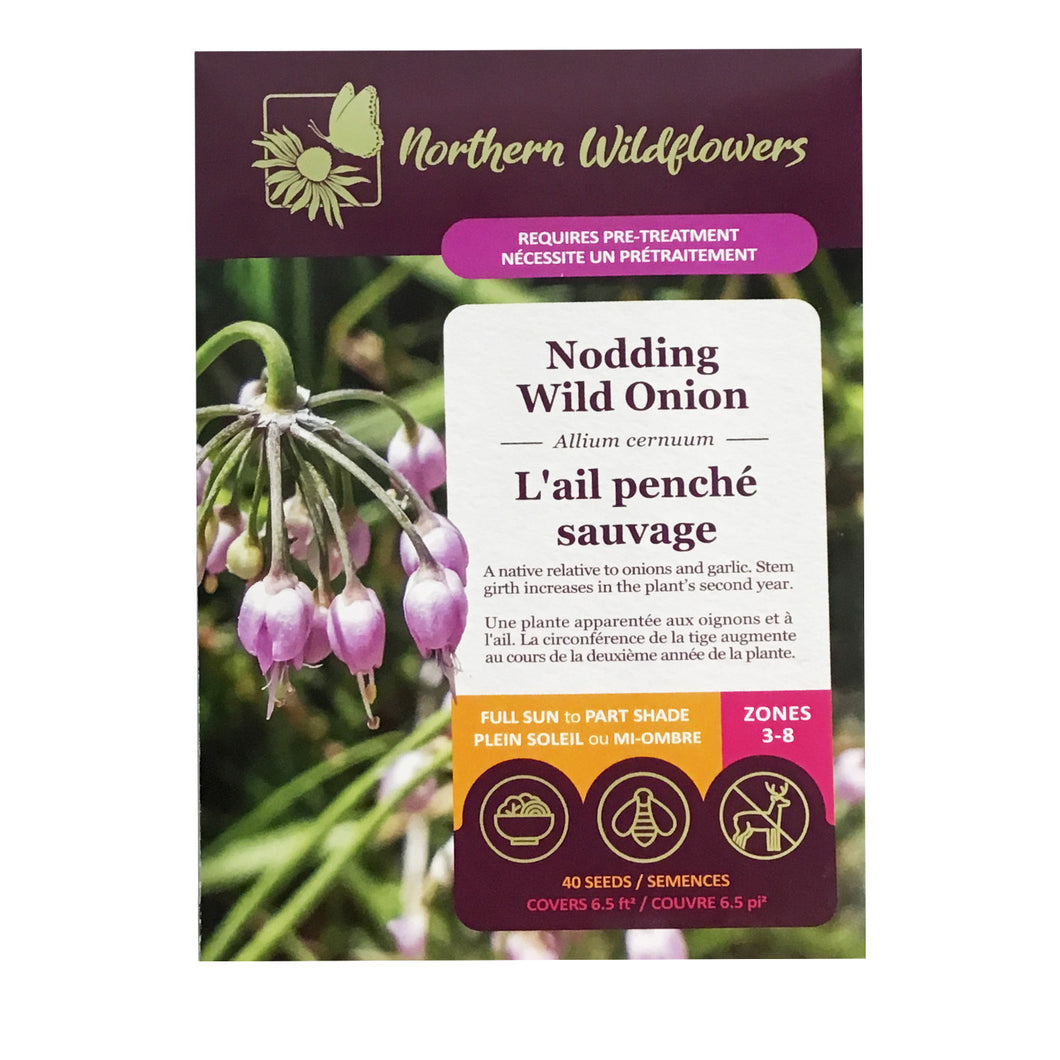 Nodding Wild Onion Seeds, NW