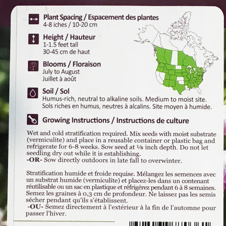 Nodding Wild Onion Seeds, NW