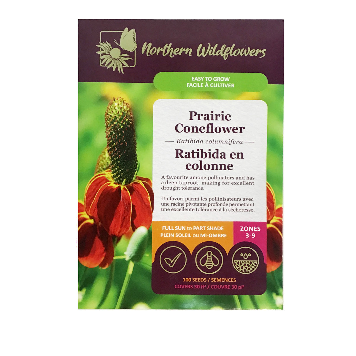 Prairie Coneflower Seeds, NW