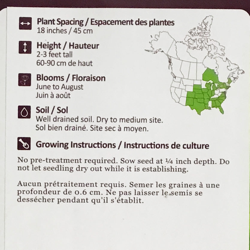 Prairie Coneflower Seeds, NW