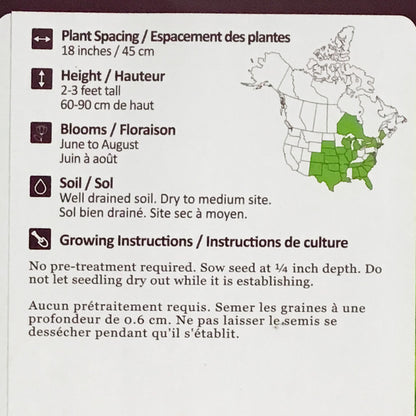 Prairie Coneflower Seeds, NW