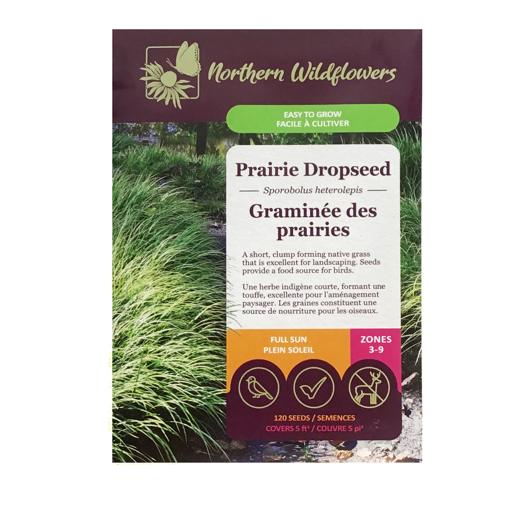 Prairie Dropseed Seeds, NW