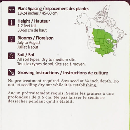 Purple Prairie Clover Seeds, NW