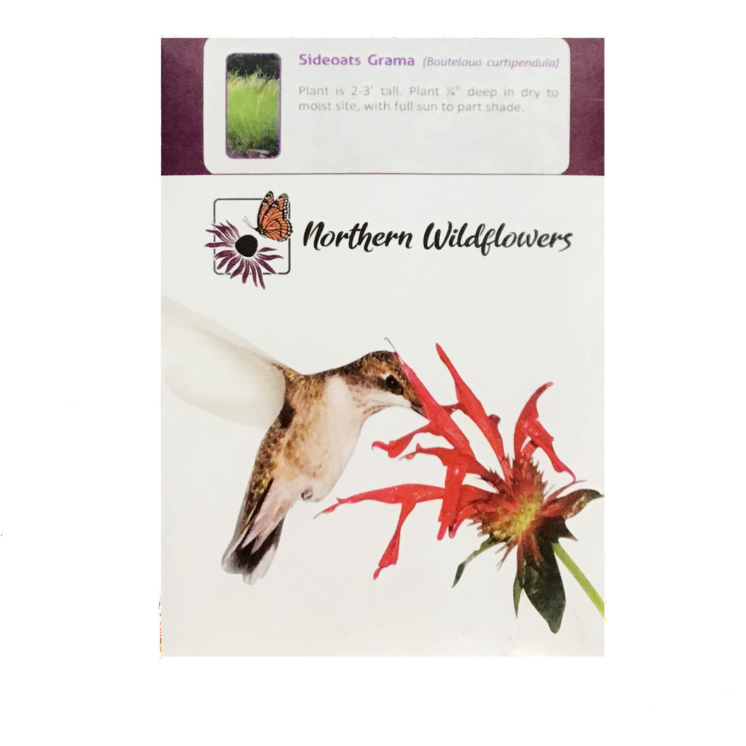 Sideoats Grama Seeds, NW