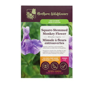 Square Stemmed Monkey Flower Seeds, NW