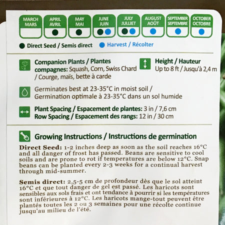 Bean - Blue Lake Pole Seeds, NW