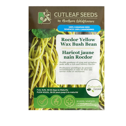 Bean Bush - Rocnor Yellow Seeds, NW