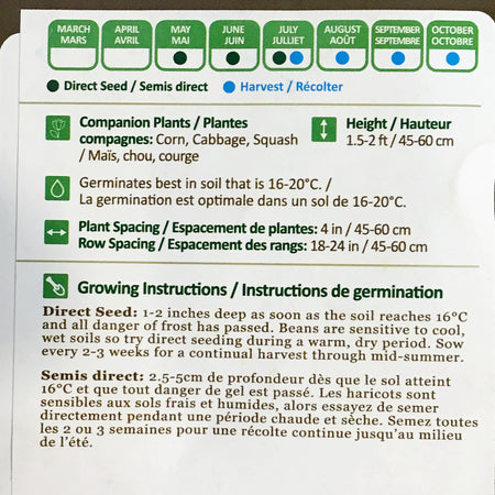 Bean Bush - Rocnor Yellow Seeds, NW