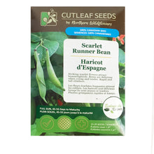 Load image into Gallery viewer, Bean Climbing - Scarlet Runner Seeds, NW
